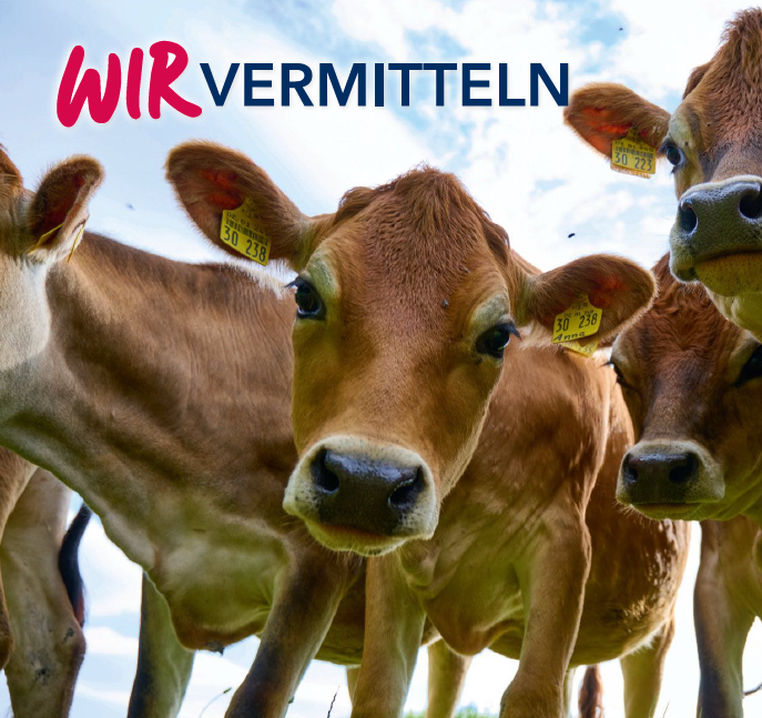 BiLEV-Mitmachtag